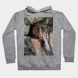 gnarly wood Hoodie